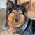 Frank Wallen's profile image