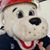 Frank Florey's profile image