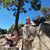 Susan Laird's profile image