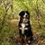 Jill Sorbie Sebra's profile image