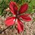 Esther Harvey Pannell's profile image