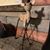 Sherri Oberholtzer-Winterfeldt's profile image
