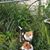 Lu Ann Green Brister's profile image