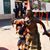 Daisy Garcia Plascencia's profile image