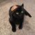 Amy Tolles's profile image