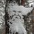 Jeff Rivenbark's profile image