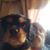 Paul Minter's profile image