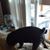 Linda Anderson's profile image