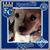 Jody Shaw's profile image