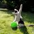 Wendy Stauffacher's profile image