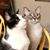 Wendy E Thomas's profile image