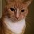 Karen Wiesner's profile image
