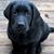 Nicole Andersen's profile image