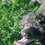 Betty Zuniga's profile image