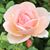Leslie Hill Buckman's profile image