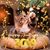 Amarilis Morales's profile image