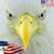 Fred Alekel's profile image
