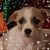 Gary Lowe's profile image