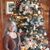 Cecille S Mullins's profile image