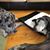 Craig Fullwood-White's profile image