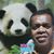 Lai Veikoso's profile image