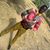 Barka Samuel's profile image