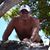 David Hutzenbiler's profile image