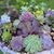 Karen Martin Donoho's profile image