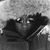 Tish Galloway's profile image