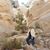 Beth Rupple Daleo's profile image