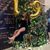 Yesenia Sigaran's profile image