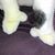 Michelle Ormsby Krischlunas's profile image