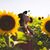 Tess Bayerle's profile image