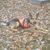 Joanne Powner's profile image