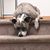 Tanya McCallam's profile image