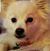 Cheryl Pontiac's profile image