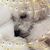 Dorothy Holden Wiser's profile image