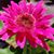 Christina M. Bagwell's profile image