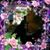 Teresa Laber's profile image
