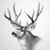 John Hobbs's profile image