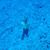 Teriimana Henri Coulon's profile image