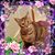 Karen Williams's profile image