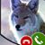 Zachary Collins's profile image