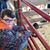 Sherrie L Stipp's profile image