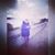 Sara Gris's profile image