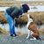 Jennifer Daseking Carr's profile image