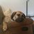Rickie Hendricks's profile image