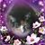 Cheryl Aquilino's profile image