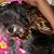 Yolanda Guzman's profile image