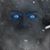 Ken Manni's profile image